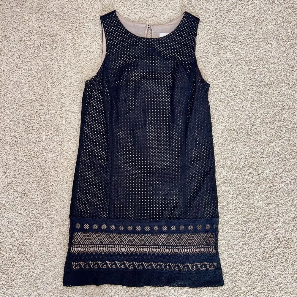 LOFT Sleeveless Lace Eyelet Keyhole Back Round Neck Shift Dress Black Tan 6